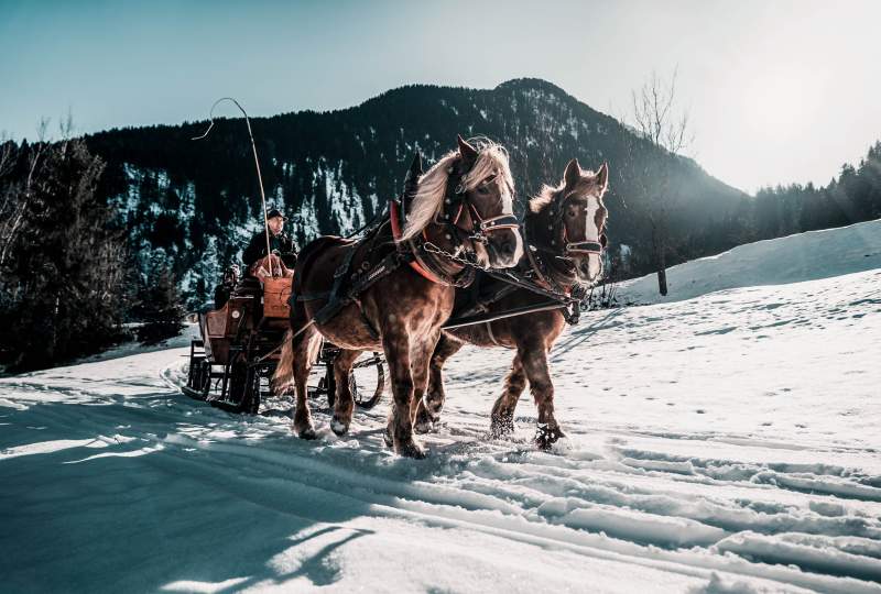 Pferdekutsche © Zillertal Tourismus